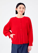 ROUND PLEATS