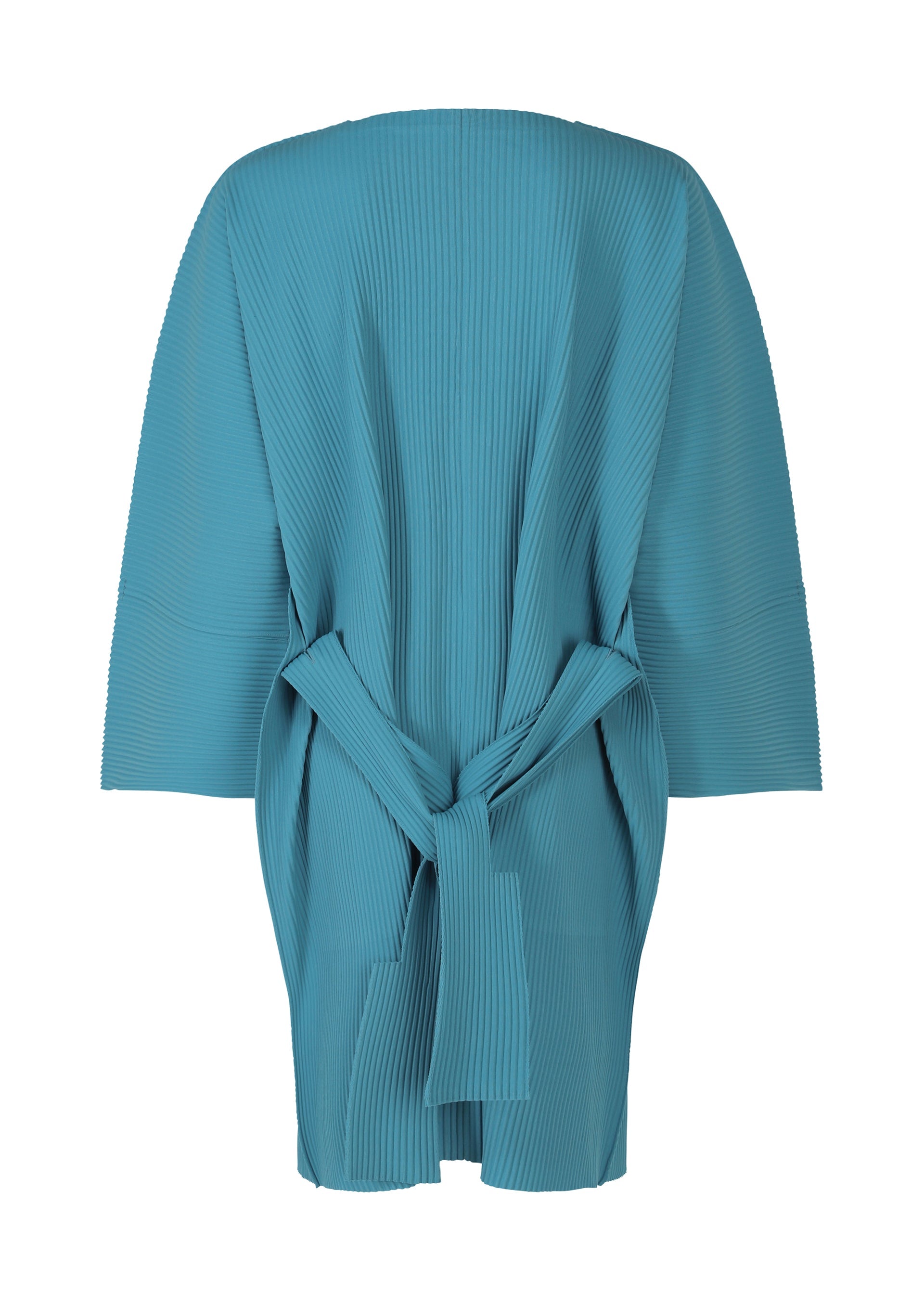 Zoomed view BELT PLEATS