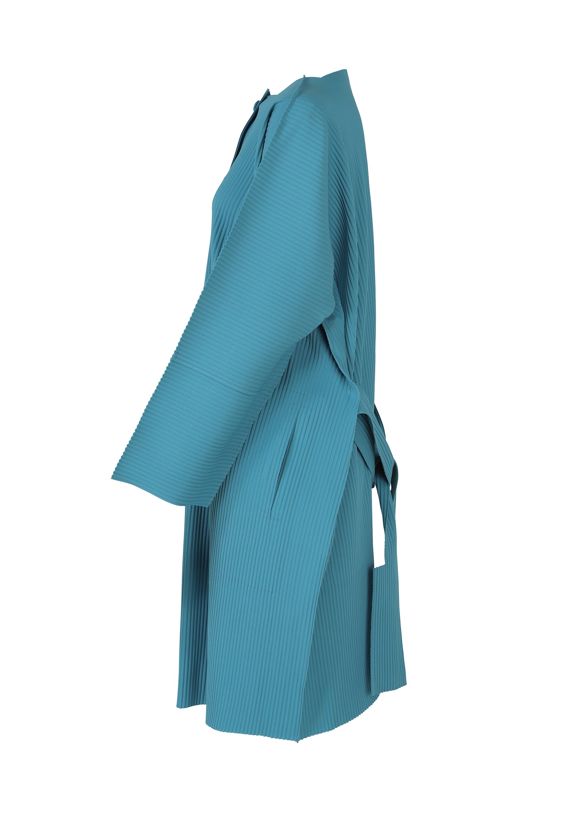 Zoomed view BELT PLEATS