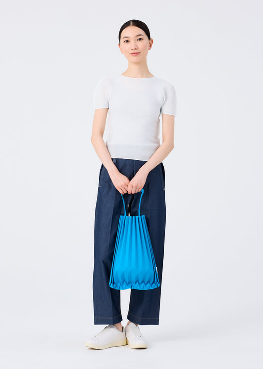 TRUNK PLEATS BAG 12 view 2