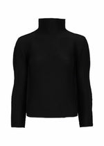 The STRETCH PLEATS by me ISSEY MIYAKE is a plain black, long-sleeved top featuring a high neck and subtle pleats, shown against a white background. - BLACK （no.15）