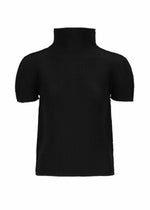 The STRETCH PLEATS by me ISSEY MIYAKE is a black, short-sleeved top with stretch pleats and a high turtleneck collar, shown against a white background. - BLACK (no.15)