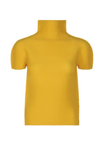 STRETCH PLEATS 6
