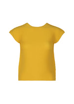 STRETCH PLEATS 6