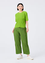 A person stands against a plain white background, smiling and looking slightly to the side in a bright green top, me ISSEY MIYAKE MIX FINE KNIT PLEATS BOTTOM in olive green, and white slip-on shoes.