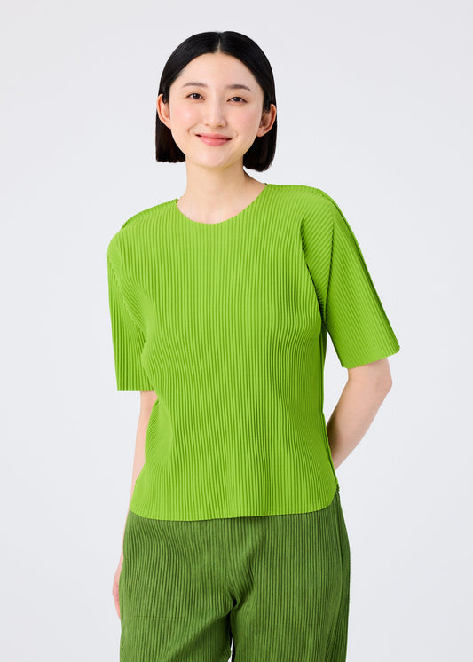 ROUND PLEATS view 2