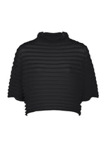 Introducing the ACCORDION STRETCH PLEATS crop top from me ISSEY MIYAKE: a black, short-sleeve, high-neck design crafted with a ribbed, textured pattern and signature stretch pleats for both stylish flair and comfort. Its slightly loose fit makes this high-neck top ideal for effortless everyday wear. - BLACK （no.15）