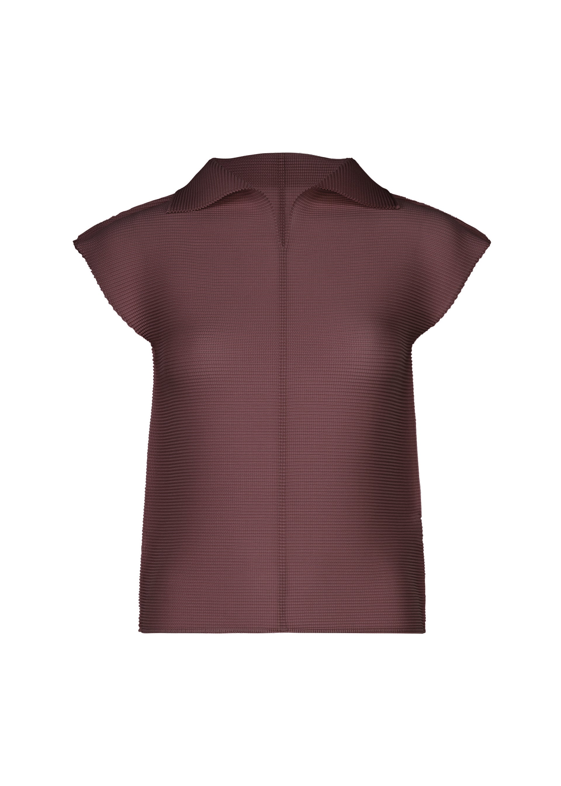 Zoomed view The STRETCH PLEATS 2 by me ISSEY MIYAKE is a brown, French-sleeved textured collared top featuring subtle stretch pleats and a high collar without visible buttons or fasteners, shown against a white background. - BORDEAUX （no.84）