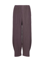 CORDUROY PLEATS