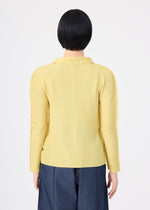 Person with short black hair wearing the me ISSEY MIYAKE KNIT STRETCH PLEATS 1 in yellow and dark blue pants, standing with their back to the camera against a plain white background.