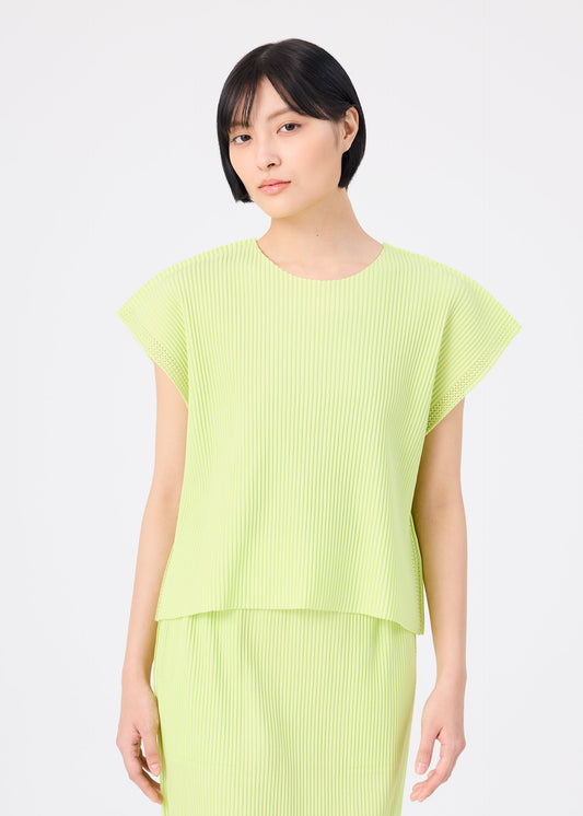 MESH PLEATS view 2