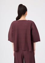 A person with long dark hair in a ponytail is shown from the back against a plain light background, wearing the me ISSEY MIYAKE TOWER PLEATS set—a loose, burgundy pleated top and matching pants—layered with a fine knit cardigan.