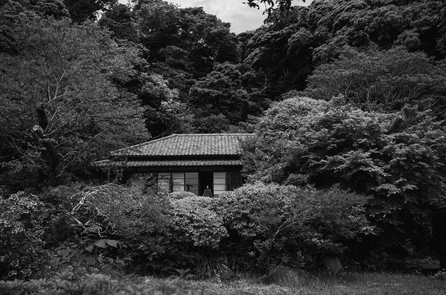 PLEATS PLEASE ISSEY MIYAKE A day in the life of Shuga with PLEATS