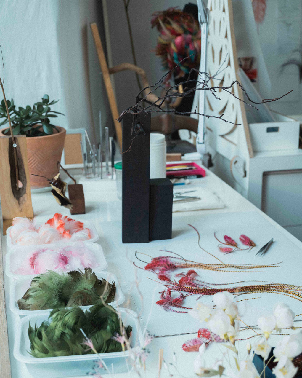 PLEATS PLEASE ISSEY MIYAKE SPECIAL PROJECTS A day in the life of