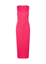 NEW COLORFUL BASICS 5