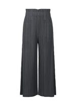 RAMIE PLEATS PANTS