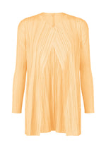 MELLOW PLEATS