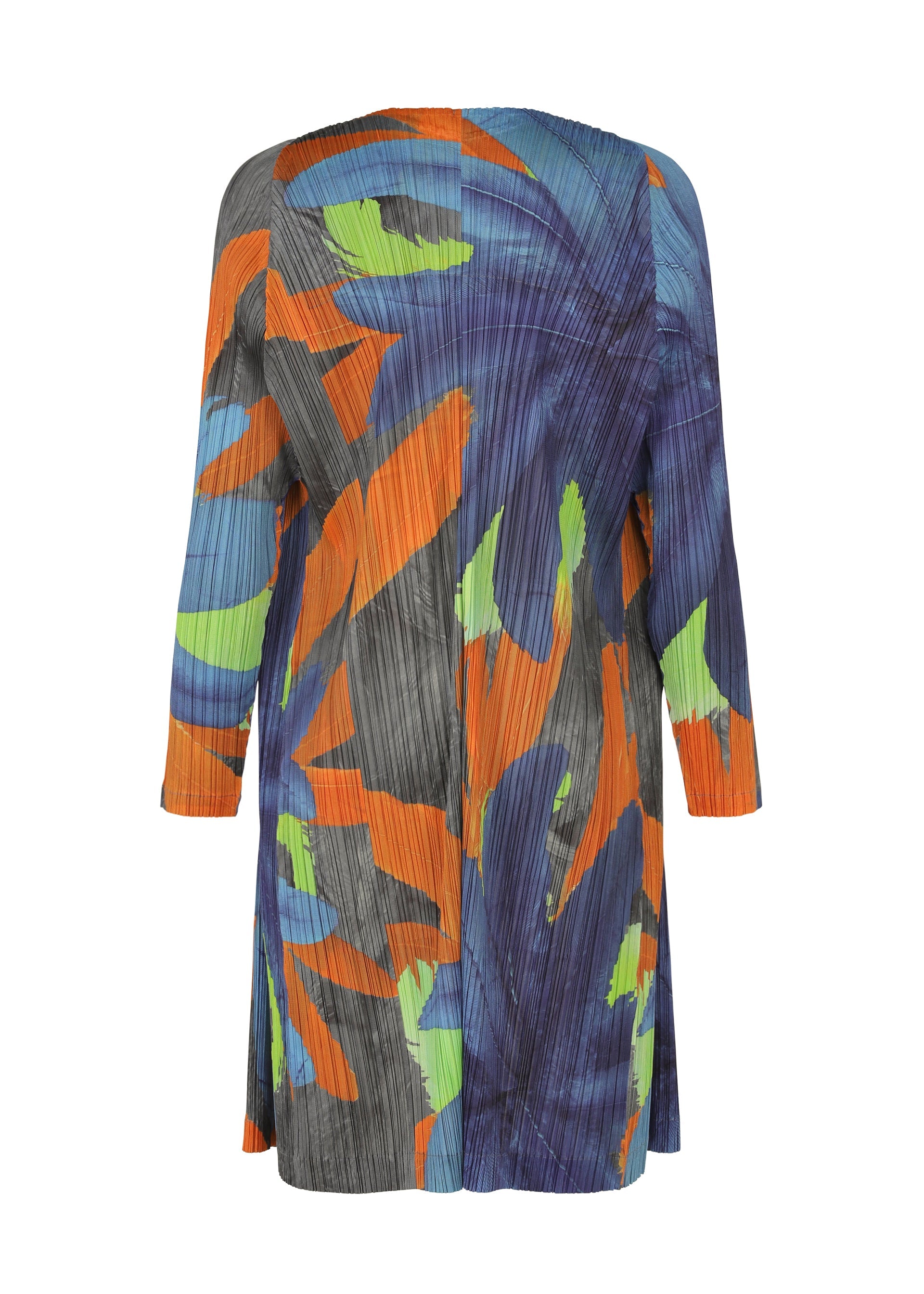 Zoomed view CARNIVAL