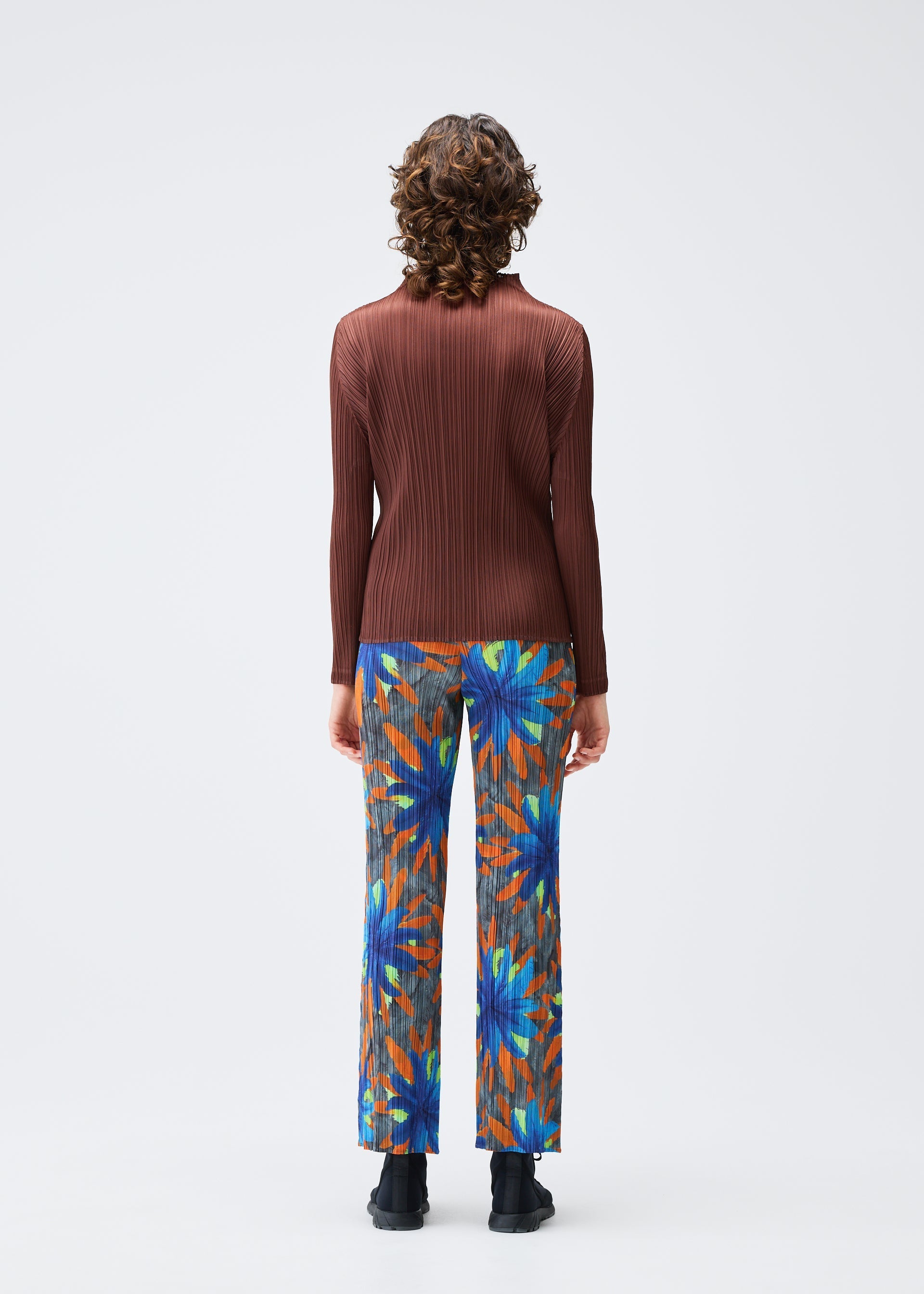 Zoomed view CARNIVAL