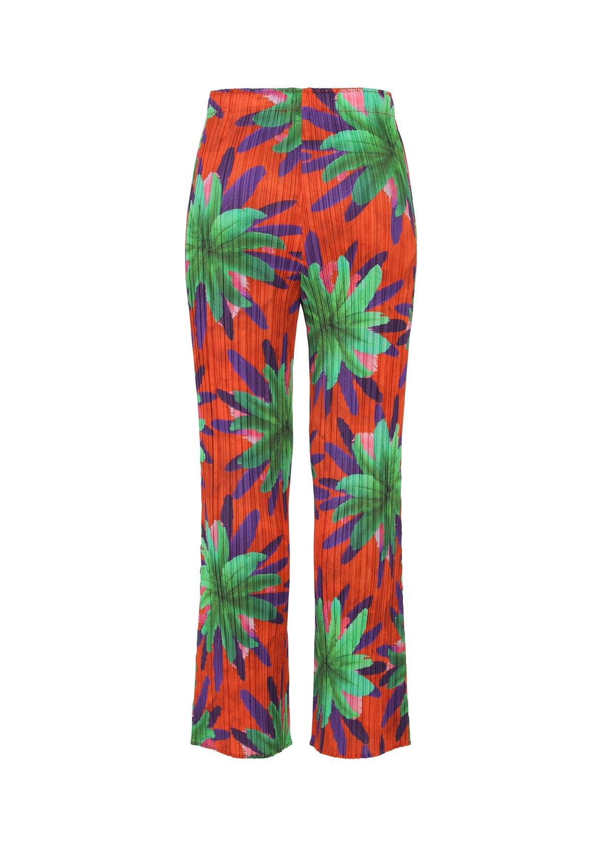 CARNIVAL view 3 of 6