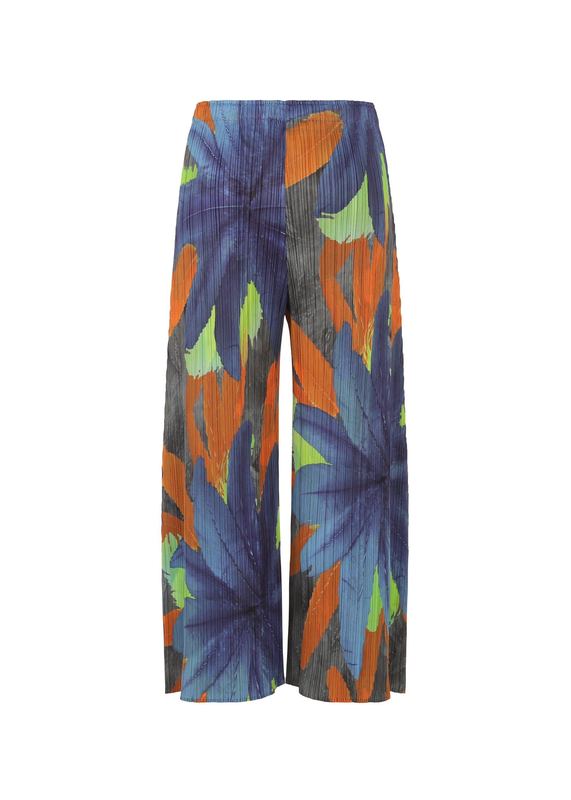 Zoomed view CARNIVAL