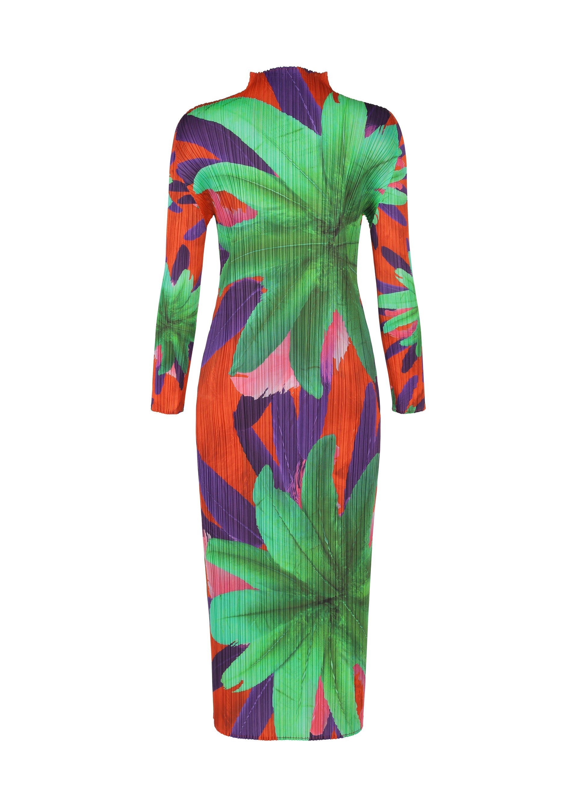 Zoomed view CARNIVAL