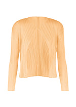 LUCID PLEATS