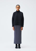 A person stands against a plain white background, wearing the PLEATS PLEASE ISSEY MIYAKE CREPE KNIT high-neck turtleneck sweater and a long pleated gray skirt, with black shoes, looking at the camera with arms at their sides.