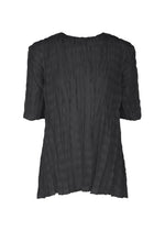The TWISTED BORDER SHIRT by PLEATS PLEASE ISSEY MIYAKE is a short-sleeved black top featuring pleated, textured fabric and a breathable round-neck design, shown against a plain white background. - BLACK （no.15）