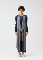 A person with short curly hair stands against a plain background wearing the MONTHLY COLORS : JANUARY blue dress and textured light gray pleated vest by PLEATS PLEASE ISSEY MIYAKE, paired with light slip-on shoes.