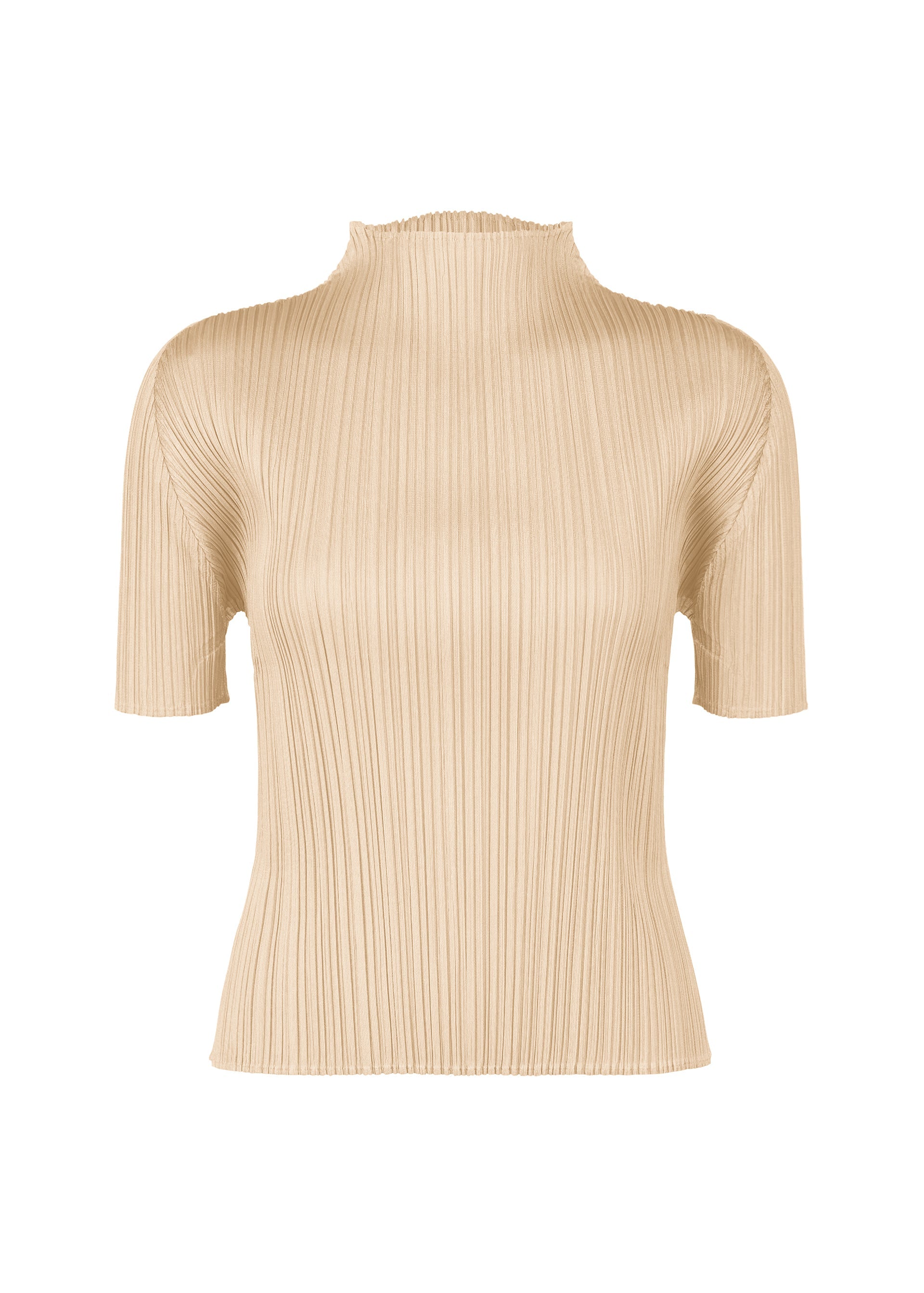 m*い様 美品イッセイミヤケ PLEATS PLEASE スヌード　ネックウォー プリーツ プリーズ イッセイ ミヤケ(PLEATS PLEASE ISSEY MIYAKE) 2019
