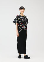 A person wears the CROSSING DOTS top by PLEATS PLEASE ISSEY MIYAKE—a black round-neck with a geometric grid and colorful dots—paired with a long pleated skirt and black shoes, set against a white background.