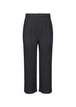 The THICKER BOTTOMS 1 by PLEATS PLEASE ISSEY MIYAKE are black, wide-leg pleated pants with an elastic waistband, ankle-length cut, and made from mid-weight fabric. Shown on a white background for a timeless look. - BLACK （no.15）