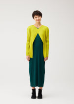 Wearing the MONTHLY COLORS : OCTOBER dress by PLEATS PLEASE ISSEY MIYAKE, a person stands against a plain background, showcasing effortless layering with bold color blocking and a hint of modern style.